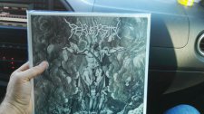 LP Idolatry!!!